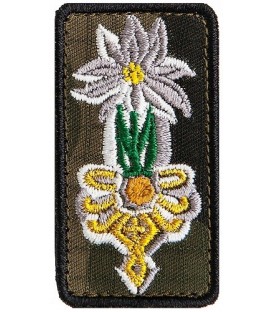Oznaka górska Specjalistów Piechoty Górskiej 21BSP - 3 stopnia złota